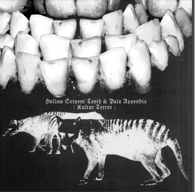 Pain Appendix/Hollow Serpent Tooth - "Kultur Terror" (cassette) Skuggsidan 14