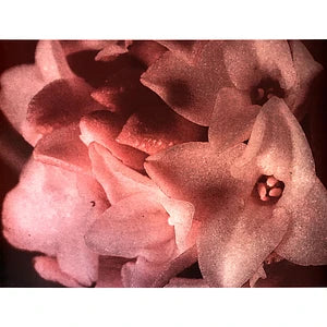 Masonna Vs. Bananamara (LP, , Reissue, Mono)