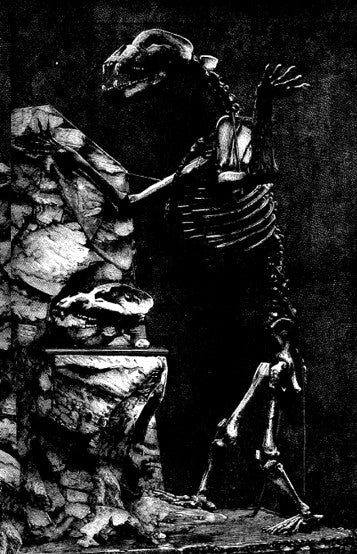 Knunn - Downhead rabbit tarots (cassette)